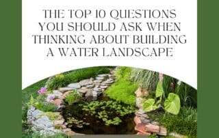 The Top 10 Questions You Should Ask When Thinking About Building a Water Landscape